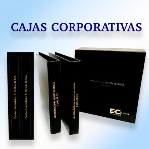 CajasCorporativas (1)